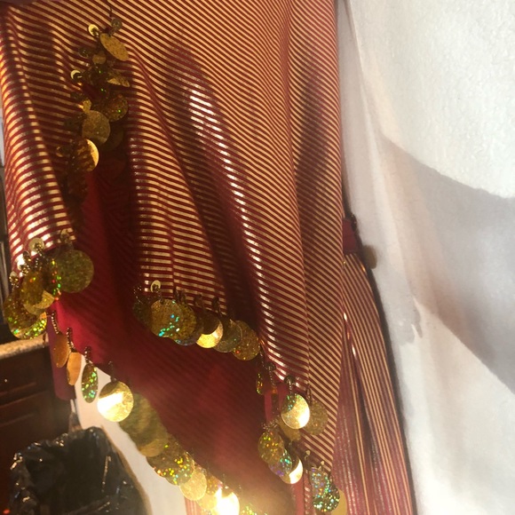 Unique Egyptian Bellydancer Dress - Costume ❤️ - Picture 4 of 8